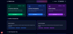 Project screenshot 4
